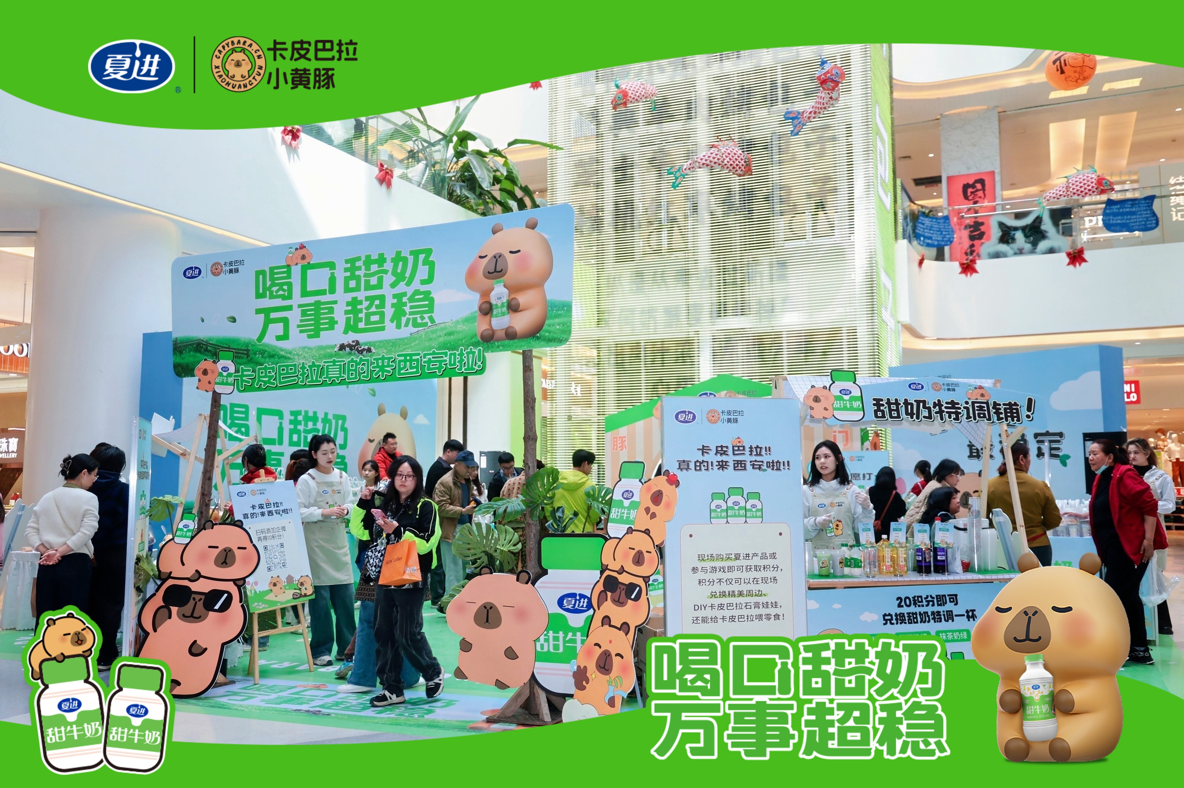 夏进-西安MOMO PARK